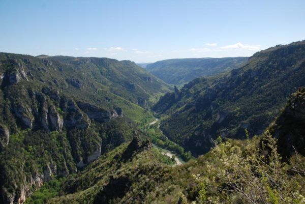 Gorges du Tarn - Point sublime (source : SMGS) Gorges du Tarn - Point sublime (source : SMGS)