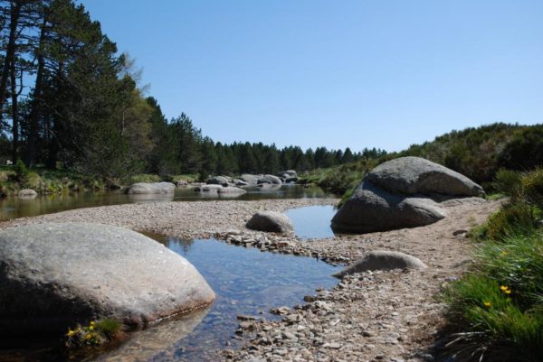 Le Tarn - Pont Romain (sources : SMGS) Le Tarn - Pont Romain (sources : SMGS)