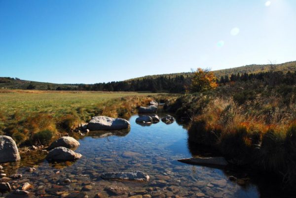 Tête de bassin - Mont-Lozère (source : SMGS)