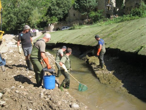 2018-08-28 Pêche électrique - Seuil de Prades